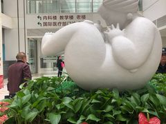 -北京协和医院(东单院区)