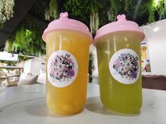 -Husky Go! 哈士奇体验馆·宠物咖啡厅狗咖