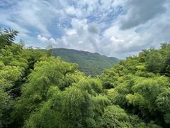 -天目湖山水园