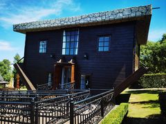 -金山农民画村-枫泾波兰倒置屋