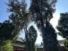 -报恩寺(平武县)