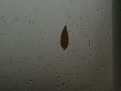 -胖姐烧烤(总店)