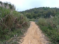 -乞力马扎罗山