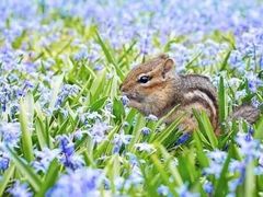 -锦龙国际酒店(天津奥体中心华苑地铁站店)