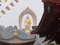 -庐山风景名胜区-东林大佛