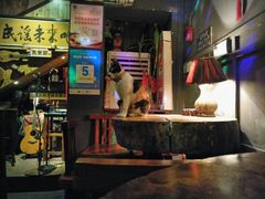 -民谣未来吧