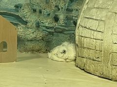 -华夏文旅西安度假区