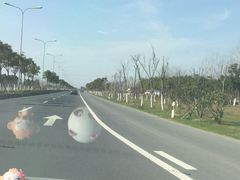 -张家港金凤凰度假村温泉