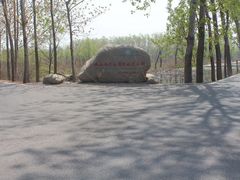 -微山湖红荷湿地景区