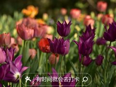 -国家植物园