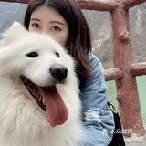 带着狗狗去远方🌞
