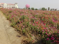 景点-歌斐颂巧克力小镇