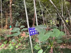 -福道