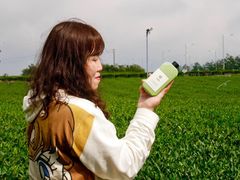 -雪绿茶博物馆