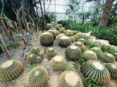 -祥源·阜阳生态乐园