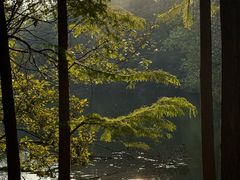 -天目湖山水园