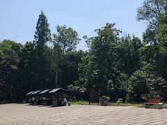 -峨眉山报国寺