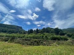 -石台牯牛降景区
