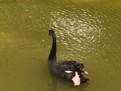 -泉州海丝野生动物世界