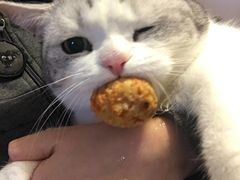 -素满香·素食自助餐(苏州·临顿路店)