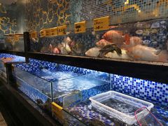 水产区-寻味顺德·珍之宝酒楼(银钻店)
