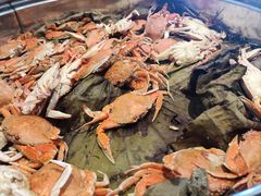 -荣誉国际酒店-云顶旋转餐厅