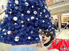 -CHARLIETOWN红茶公司(南京万象天地店)