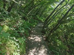 -圣莲山风景区
