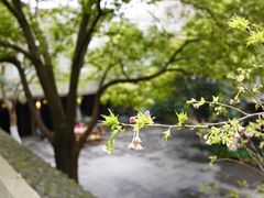 -竹吟山房