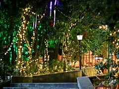 -宝莱纳啤酒花园餐厅PAULANER BRAUHAUS Nanjing(广州路店)