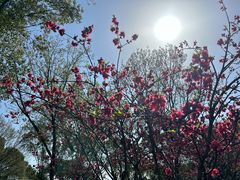 -上海市保健医疗中心