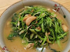 鸡毛菜干豆腐-老江南春·中国龙菜(衡山路店)