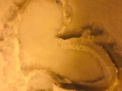 -Mr·Kuma酷么先生雪之乐园