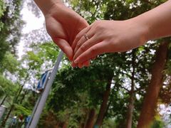 -缙云山景区