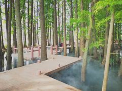 -东湖落雁景区
