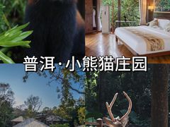 -普洱太阳河森林公园