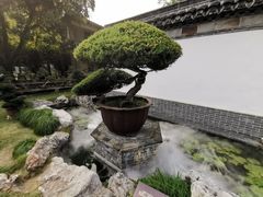 -水绘园