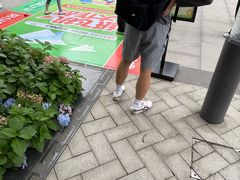-铁像寺水街