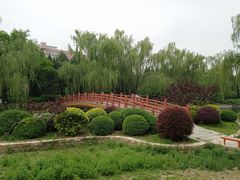 -元大都城垣遗址公园