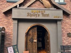 -雪灵魔法世界SHELLY’S TAROT(大良桂畔里店)