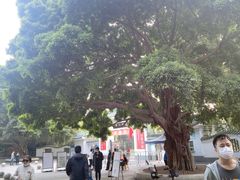 -晓港公园