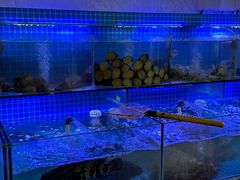 -鼓歌海鲜舫·手抓海鲜(大学城店)