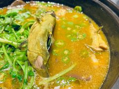 石锅鸡血黄辣丁-许家菜(望江店)
