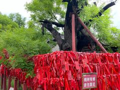 -代州文庙