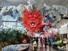 -河内内排国际机场