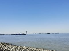 -上海滨江森林公园