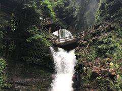 -碧峰峡风景区