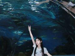 -合肥海洋世界