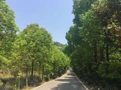 -木兰云雾山