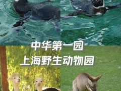 -上海野生动物园
